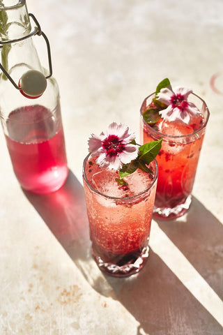 Summer Evening Workshop: Gin Infusions & Floral Centrepieces