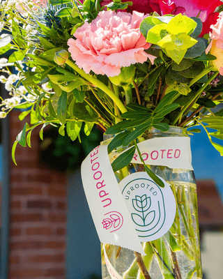 Summer Evening Workshop: Gin Infusions & Floral Centrepieces
